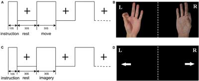 Aging Changes Effective Connectivity of Motor Networks During Motor Execution and Motor Imagery